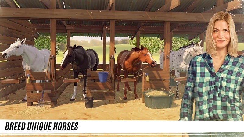 منافس النجوم سباق الخيل مجانا 1